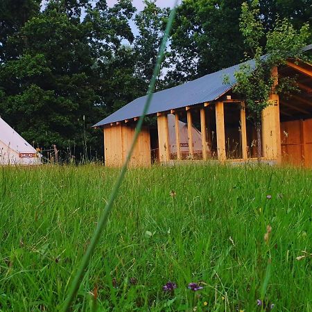 Texas House Guest House Novaci-Straini Luaran gambar