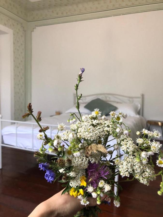 Texas House Guest House Novaci-Straini Luaran gambar