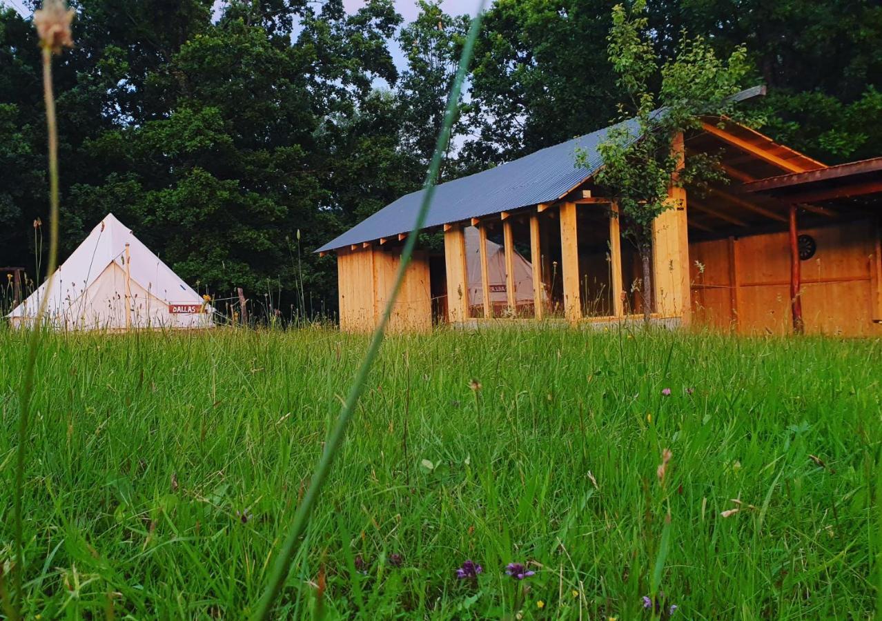 Texas House Guest House Novaci-Straini Luaran gambar